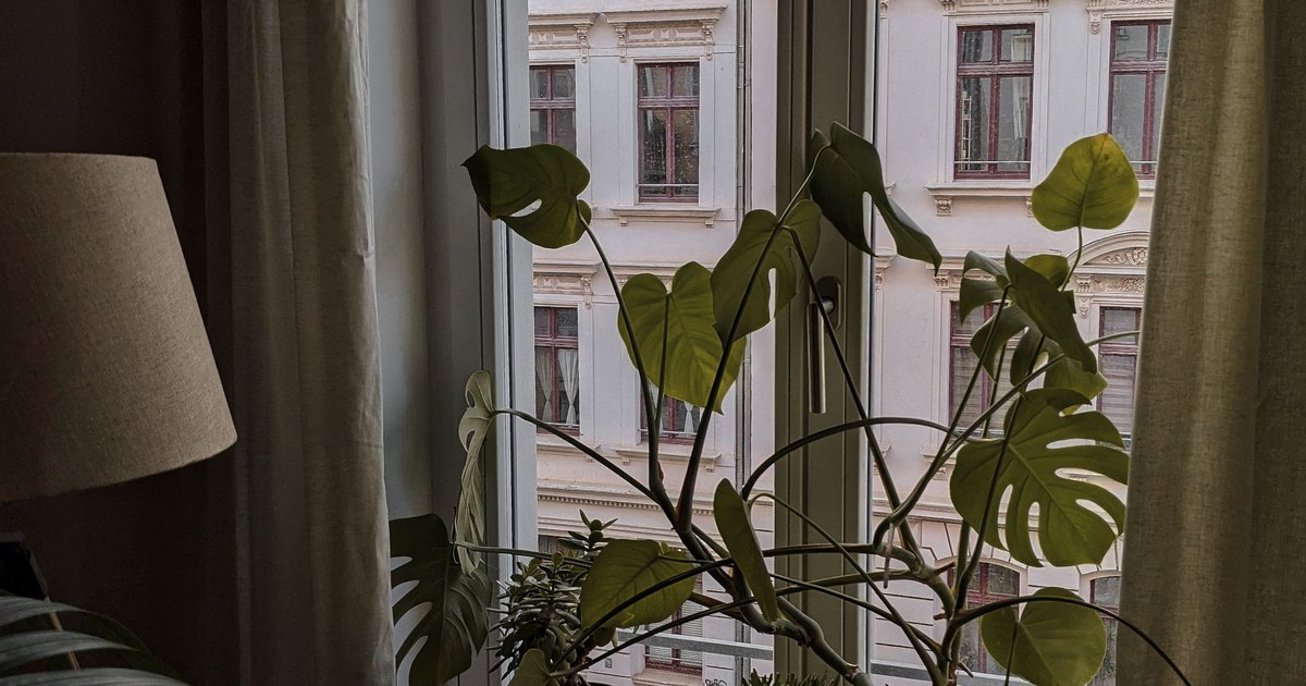 Wohnung Leipzig mieten: Aktuelle Angebote