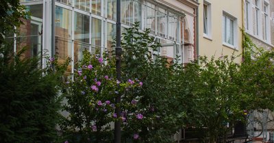 Bremen Wohnung mieten: Angebote und Preise