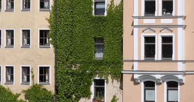 Wohnung zu mieten in Regensburg